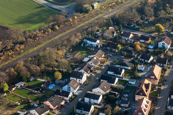 Vue aérienne de Dans la roseraie à Winden dans le département Rhénanie-Palatinat, Allemagne