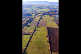 Vue aérienne de Billigheimer Bruch, Erlenbachtal entre Barbelroth, Hergersweiler et Winden à le quartier Mühlhofen in Billigheim-Ingenheim dans le département Rhénanie-Palatinat, Allemagne