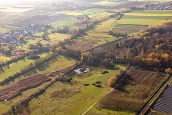 Billigheimer Bruch, Erlenbachtal entre Barbelroth, Hergersweiler et Winden à le quartier Mühlhofen in Billigheim-Ingenheim dans le département Rhénanie-Palatinat, Allemagne hors des airs