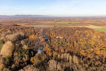 Vue aérienne de Billigheimer Bruch, Erlenbachtal entre Barbelroth, Hergersweiler et Winden à le quartier Ingenheim in Billigheim-Ingenheim dans le département Rhénanie-Palatinat, Allemagne
