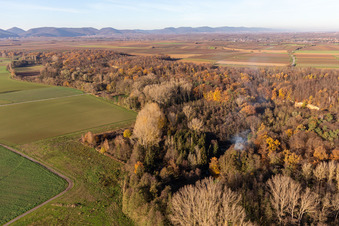 Vue aérienne de Billigheimer Bruch, Erlenbachtal entre Barbelroth, Hergersweiler et Winden à le quartier Ingenheim in Billigheim-Ingenheim dans le département Rhénanie-Palatinat, Allemagne