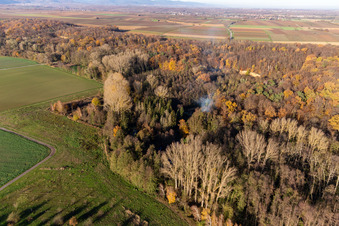 Photographie aérienne de Billigheimer Bruch, Erlenbachtal entre Barbelroth, Hergersweiler et Winden à le quartier Ingenheim in Billigheim-Ingenheim dans le département Rhénanie-Palatinat, Allemagne