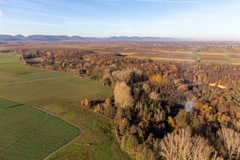 Vue oblique de Billigheimer Bruch, Erlenbachtal entre Barbelroth, Hergersweiler et Winden à le quartier Ingenheim in Billigheim-Ingenheim dans le département Rhénanie-Palatinat, Allemagne