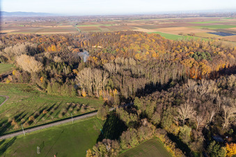 Billigheimer Bruch, Horbachtal entre Barbelroth, Hergersweiler et Winden à Barbelroth dans le département Rhénanie-Palatinat, Allemagne d'en haut