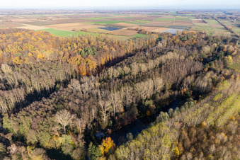 Billigheimer Bruch, Horbachtal entre Barbelroth, Hergersweiler et Winden à Barbelroth dans le département Rhénanie-Palatinat, Allemagne vue d'en haut