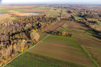 Vue aérienne de Billigheimer Bruch, Steinfelsbachtal entre Barbelroth, Hergersweiler et Winden à Barbelroth dans le département Rhénanie-Palatinat, Allemagne