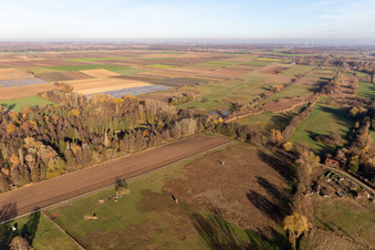 Enregistrement par drone de Billigheimer Bruch, Erlenbachtal entre Barbelroth, Hergersweiler et Winden à le quartier Mühlhofen in Billigheim-Ingenheim dans le département Rhénanie-Palatinat, Allemagne