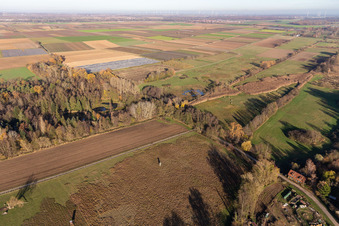 Image drone de Billigheimer Bruch, Erlenbachtal entre Barbelroth, Hergersweiler et Winden à le quartier Mühlhofen in Billigheim-Ingenheim dans le département Rhénanie-Palatinat, Allemagne