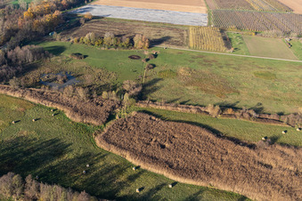 Vue aérienne de Billigheimer Bruch, fossé de crue entre Barbelroth, Hergersweiler et Winden à le quartier Mühlhofen in Billigheim-Ingenheim dans le département Rhénanie-Palatinat, Allemagne