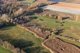 Photographie aérienne de Billigheimer Bruch, fossé de crue entre Barbelroth, Hergersweiler et Winden à le quartier Mühlhofen in Billigheim-Ingenheim dans le département Rhénanie-Palatinat, Allemagne