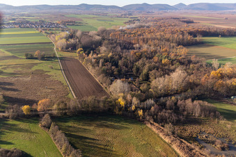 Vue aérienne de Billigheimer Bruch, Erlenbachtal entre Barbelroth, Hergersweiler et Winden à le quartier Mühlhofen in Billigheim-Ingenheim dans le département Rhénanie-Palatinat, Allemagne
