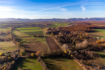 Photographie aérienne de Billigheimer Bruch, Erlenbachtal entre Barbelroth, Hergersweiler et Winden à le quartier Mühlhofen in Billigheim-Ingenheim dans le département Rhénanie-Palatinat, Allemagne