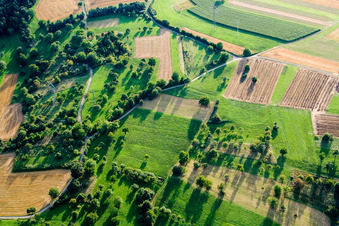 Vue aérienne de Prairies et buissons à le quartier Dietenhausen in Keltern dans le département Bade-Wurtemberg, Allemagne