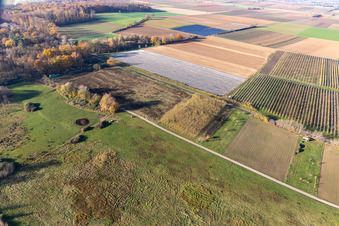 Vue oblique de Billigheimer Bruch, Erlenbachtal entre Barbelroth, Hergersweiler et Winden à le quartier Mühlhofen in Billigheim-Ingenheim dans le département Rhénanie-Palatinat, Allemagne