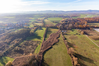 Billigheimer Bruch, Erlenbachtal entre Barbelroth, Hergersweiler et Winden à le quartier Mühlhofen in Billigheim-Ingenheim dans le département Rhénanie-Palatinat, Allemagne d'en haut