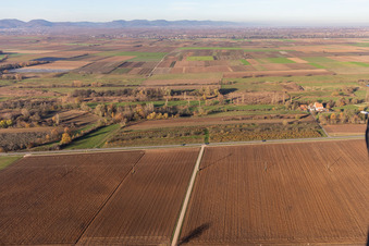 Billigheimer Bruch, Erlenbachtal entre Barbelroth, Hergersweiler et Winden à le quartier Mühlhofen in Billigheim-Ingenheim dans le département Rhénanie-Palatinat, Allemagne hors des airs