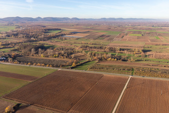Billigheimer Bruch, Erlenbachtal entre Barbelroth, Hergersweiler et Winden à le quartier Mühlhofen in Billigheim-Ingenheim dans le département Rhénanie-Palatinat, Allemagne vue d'en haut