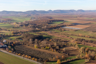 Billigheimer Bruch, Erlenbachtal entre Barbelroth, Hergersweiler et Winden à Hergersweiler dans le département Rhénanie-Palatinat, Allemagne vue d'en haut