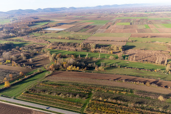 Billigheimer Bruch, Erlenbachtal entre Barbelroth, Hergersweiler et Winden à Hergersweiler dans le département Rhénanie-Palatinat, Allemagne vue du ciel