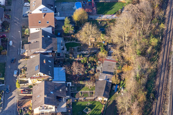 Dans la roseraie à Winden dans le département Rhénanie-Palatinat, Allemagne d'en haut