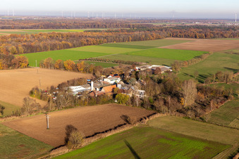 Ranch Palatino à Steinweiler dans le département Rhénanie-Palatinat, Allemagne d'en haut
