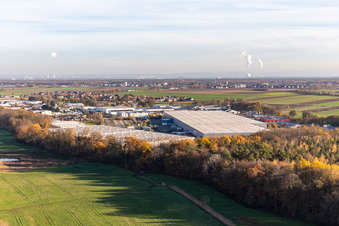 Vue oblique de Parc industriel de Horst avec Magna Exteriors, Zufall Logistics, STS Group et Thermo Fisher à le quartier Minderslachen in Kandel dans le département Rhénanie-Palatinat, Allemagne
