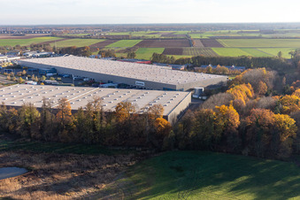 Parc industriel de Horst avec Magna Exteriors, Zufall Logistics, STS Group et Thermo Fisher à le quartier Minderslachen in Kandel dans le département Rhénanie-Palatinat, Allemagne d'en haut