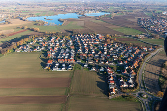 Quartier Hardtwald in Neupotz dans le département Rhénanie-Palatinat, Allemagne vue du ciel