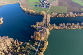 Vue aérienne de Restaurant en plein air Anglerheim Neupotz sur l'Altrhein à Neupotz dans le département Rhénanie-Palatinat, Allemagne