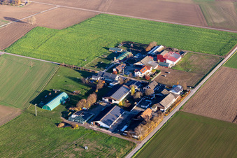 Vue aérienne de Burgerhof à Neupotz dans le département Rhénanie-Palatinat, Allemagne