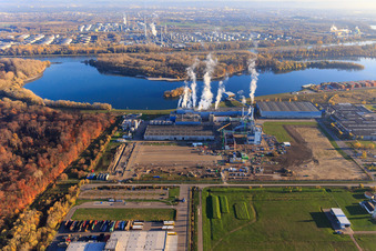 Vue aérienne de Usine de papier de palme Wörth am Rhein à Wörth am Rhein dans le département Rhénanie-Palatinat, Allemagne