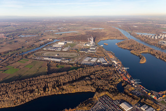 Vue oblique de Zone industrielle d'Oberwald à Wörth am Rhein dans le département Rhénanie-Palatinat, Allemagne