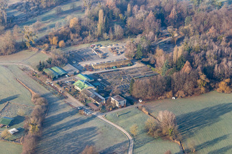 Vue aérienne de Pépinière Bienwald à Berg dans le département Rhénanie-Palatinat, Allemagne