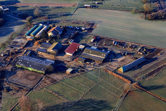 Vue aérienne de Ferme de poulains Berg à Berg dans le département Rhénanie-Palatinat, Allemagne