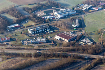 Vue aérienne de Euromatériaux, Walter Epices, Schiller Medical à le quartier Altenstadt in Wissembourg dans le département Bas Rhin, France