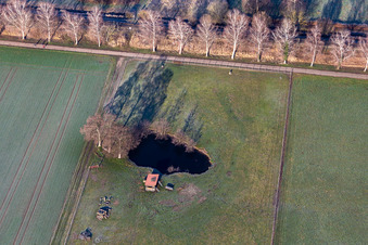 Vue aérienne de Biotope dans la plaine du Bruchbach à Steinfeld dans le département Rhénanie-Palatinat, Allemagne