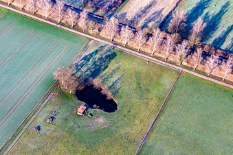 Vue aérienne de Biotope dans la plaine du Bruchbach à Steinfeld dans le département Rhénanie-Palatinat, Allemagne