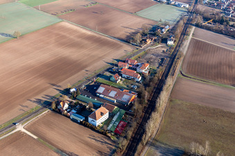Vue aérienne de Marché frais de Wasgau à Steinfeld dans le département Rhénanie-Palatinat, Allemagne