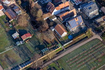 Vue aérienne de Bachweg x Pfeifferweg à Freckenfeld dans le département Rhénanie-Palatinat, Allemagne