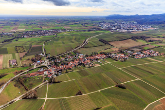 Vue aérienne de Vue du village depuis le nord à Niederhorbach dans le département Rhénanie-Palatinat, Allemagne