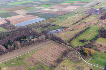 Vue aérienne de Billigheimer Bruch, biotope inondé au Flutgraben/Erlenbach à Barbelroth dans le département Rhénanie-Palatinat, Allemagne