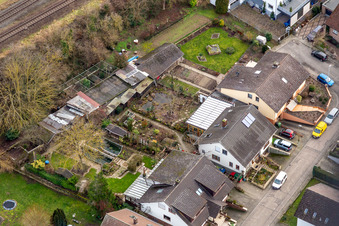 Dans la roseraie à Winden dans le département Rhénanie-Palatinat, Allemagne d'un drone