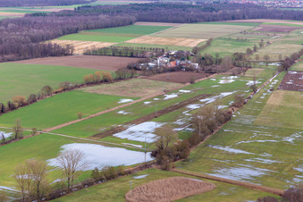 Vue aérienne de Bruchgraben, Buschurgraben, Flutgraben, Erlenbach inondés à Steinweiler dans le département Rhénanie-Palatinat, Allemagne