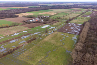 Photographie aérienne de Bruchgraben, Buschurgraben, Flutgraben, Erlenbach inondés à Steinweiler dans le département Rhénanie-Palatinat, Allemagne