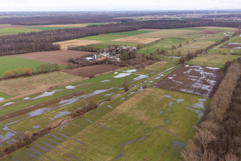 Vue oblique de Bruchgraben, Buschurgraben, Flutgraben, Erlenbach inondés à Steinweiler dans le département Rhénanie-Palatinat, Allemagne