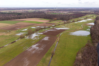 Bruchgraben, Buschurgraben, Flutgraben, Erlenbach inondés à Steinweiler dans le département Rhénanie-Palatinat, Allemagne d'en haut