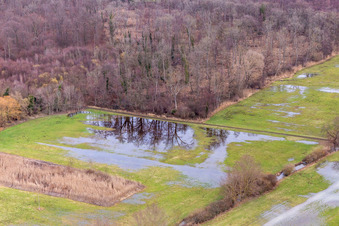 Vue aérienne de Fossé de fermier inondé, fossé inondé à Steinweiler dans le département Rhénanie-Palatinat, Allemagne