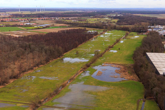Vue aérienne de Bauerngraben, Flutgraben, Erlenbach inondés à Steinweiler dans le département Rhénanie-Palatinat, Allemagne