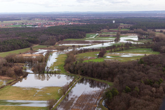 Vue aérienne de Prairies inondées du polder de Neupotz sur le lit du Rhin en crue à Neupotz à Erlenbach bei Kandel dans le département Rhénanie-Palatinat, Allemagne