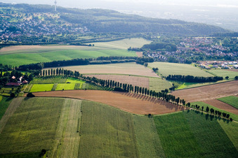 Vue aérienne de Thomashofstraße avec Pappelallee à le quartier Stupferich in Karlsruhe dans le département Bade-Wurtemberg, Allemagne